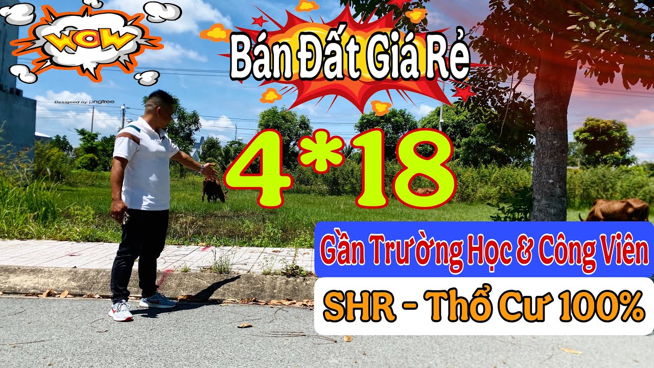 Bán Đất Sổ Hồng Riêng Giá Rẻ Cát Tường Phú Sinh DT : 4*18=72m2 Shr Gần Trường Học Và Công Viên Lớn