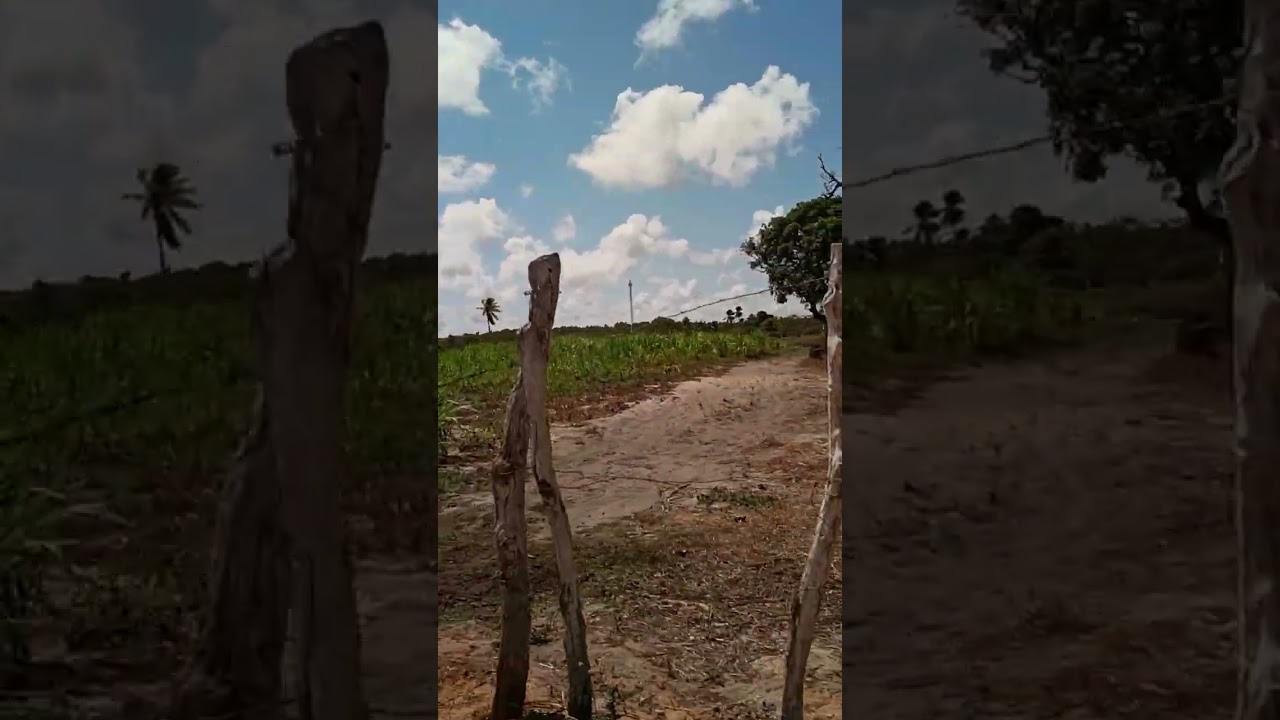 Caça às mangas , Final - Vila de Fátima/Extremoz.