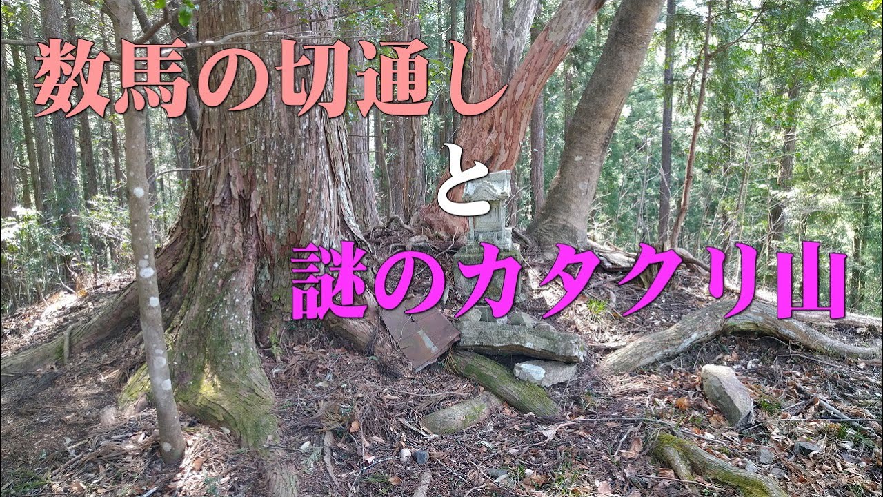 数馬の切通しから謎のカタクリ山へ＠東京都奥多摩町