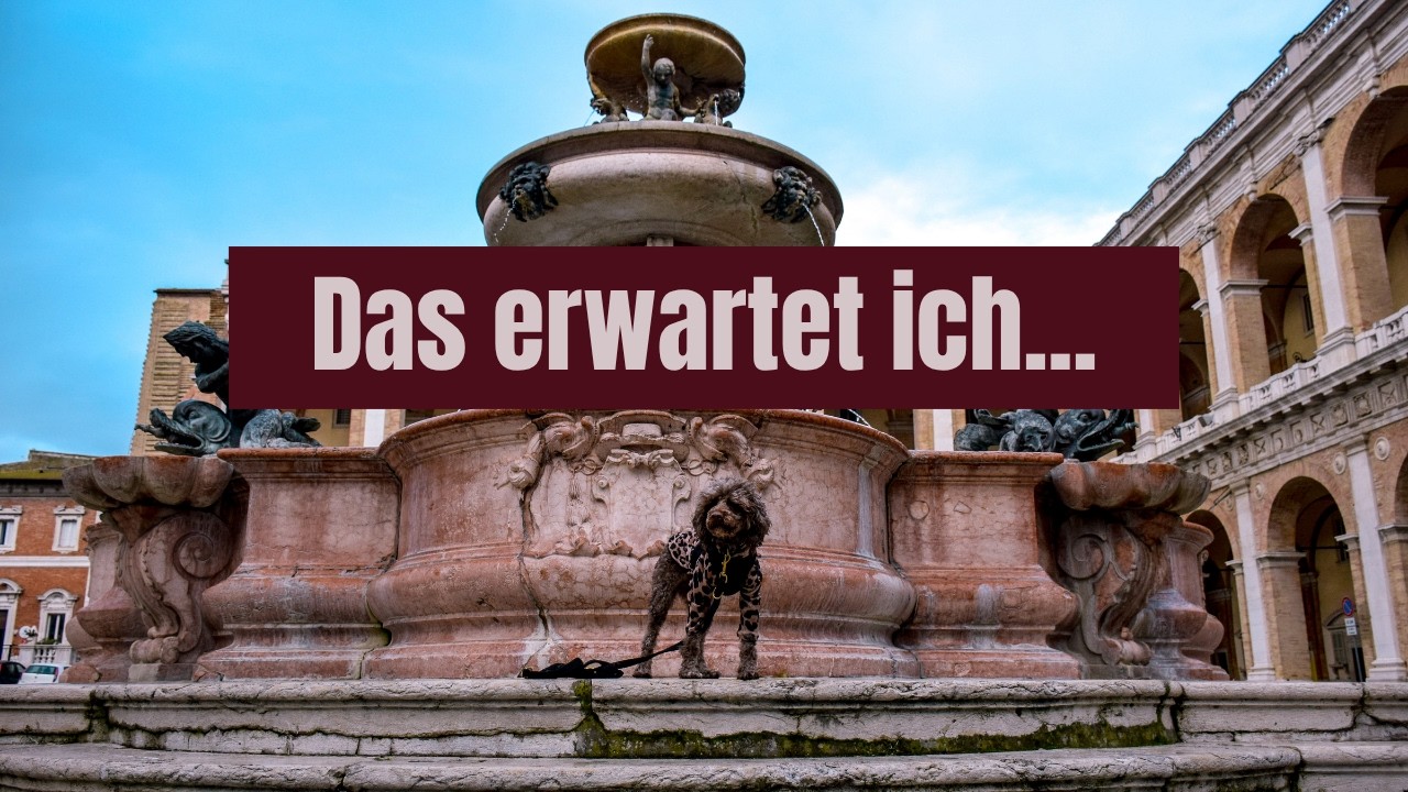 Loreto mit Hunden – Pudel Burberry und Yorkshire Terrier Aurelio sind unterwegs – Hunde Vlog 12
