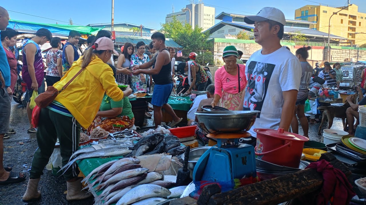 GRABE 50 PESOS NALANG KILO ALIMASAG AT MAY TUMPOK PA 50 PESOS. HALOS PAMIGAY ANG PRESYO SA MALABON 