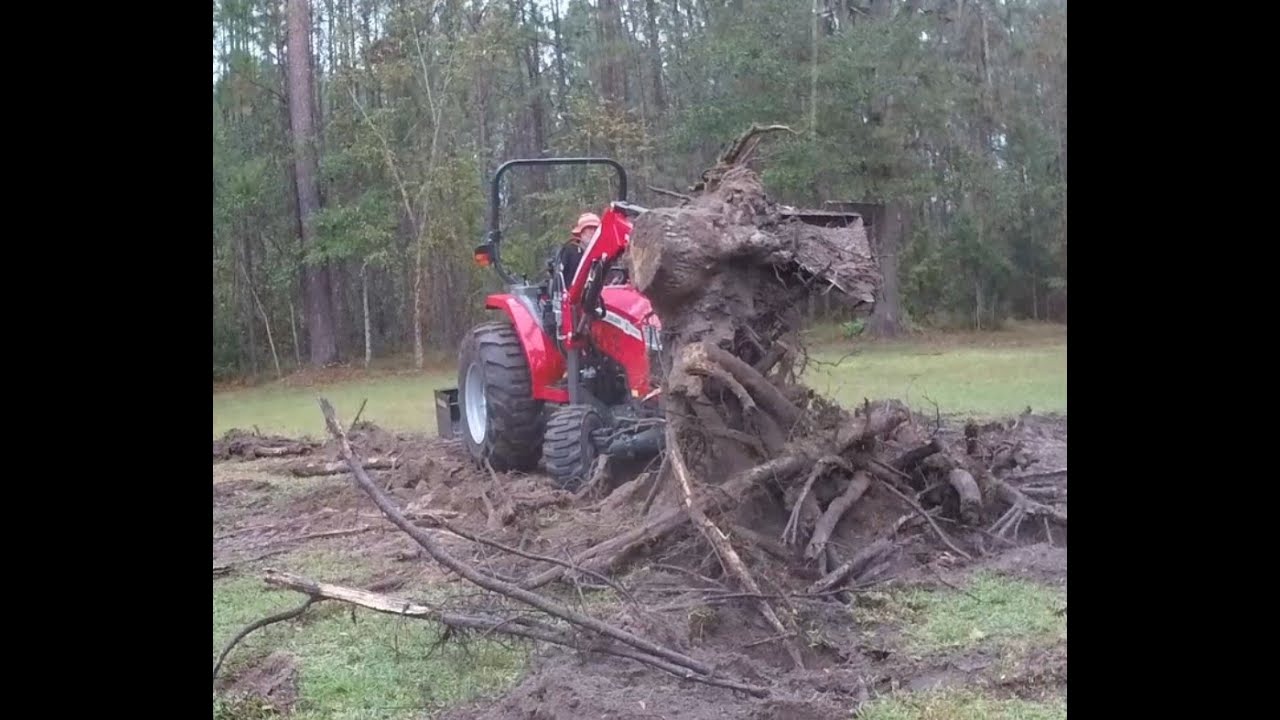 Titan Economy Stump Bucket Vs Oak Tree II #masseyferguson #tractor #tractorlover #tractorvideo #diy