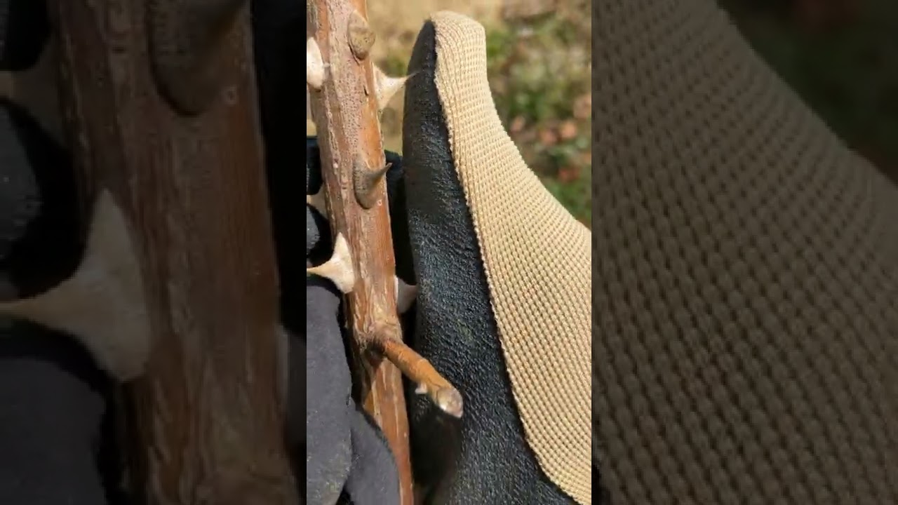 ThornArmor Gloves