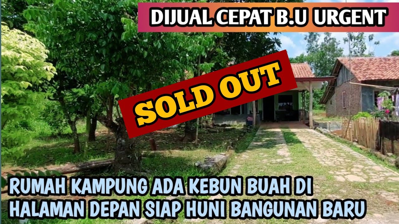 Rumah Kampung Ada Kebun Buah Di Halaman Depan  Bangunan Baru Akses Mobil