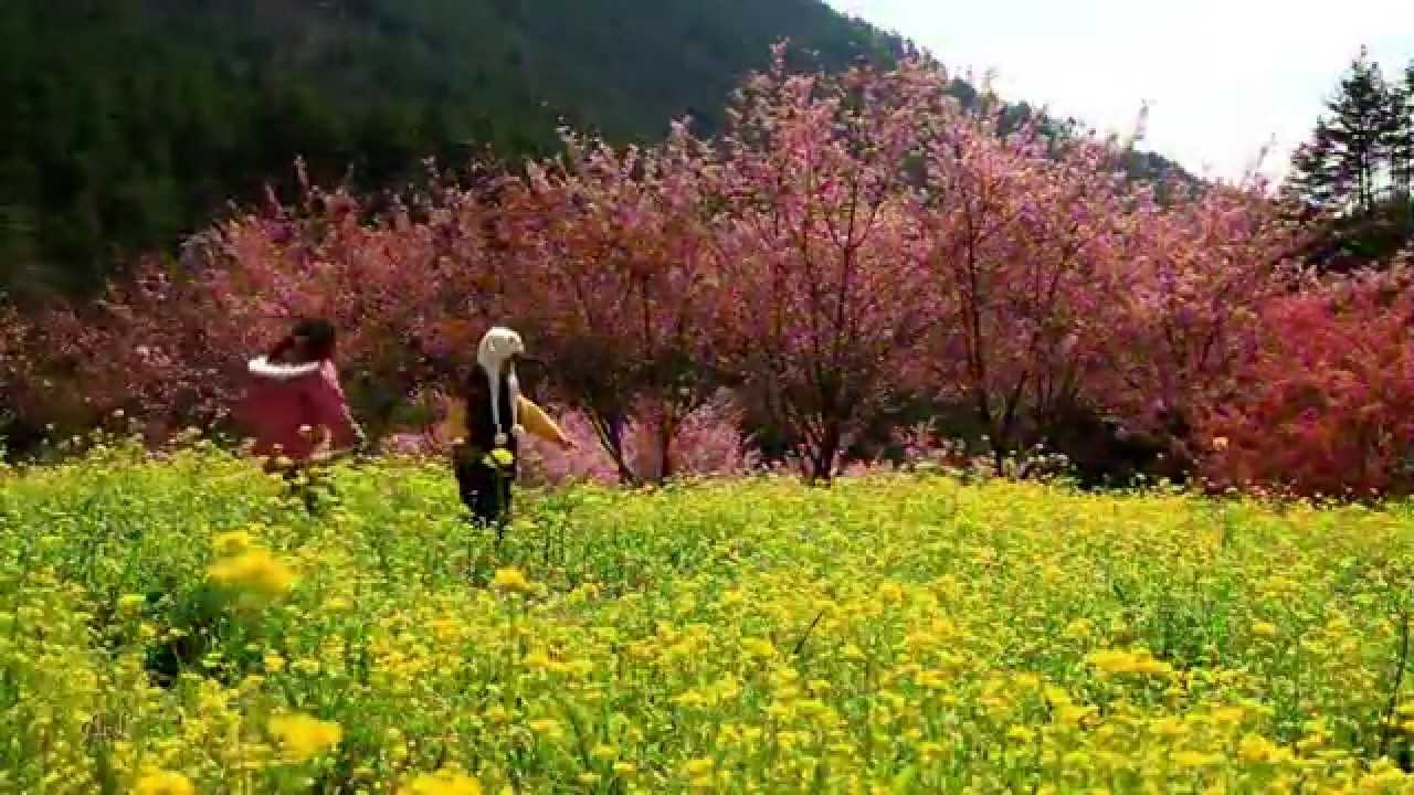 Beautiful Taiwan