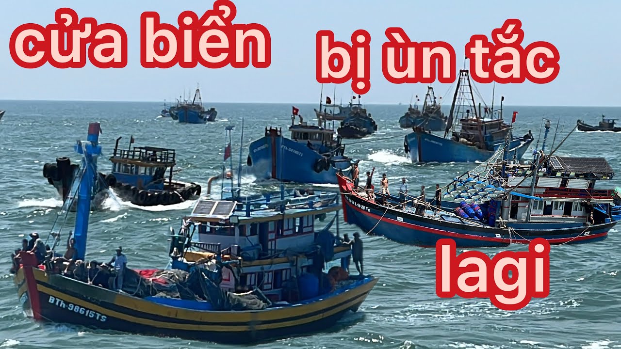 6/3/2026 tại cửa biển lagi tập đoàn giã cào đôi đua nhau vào cửa 