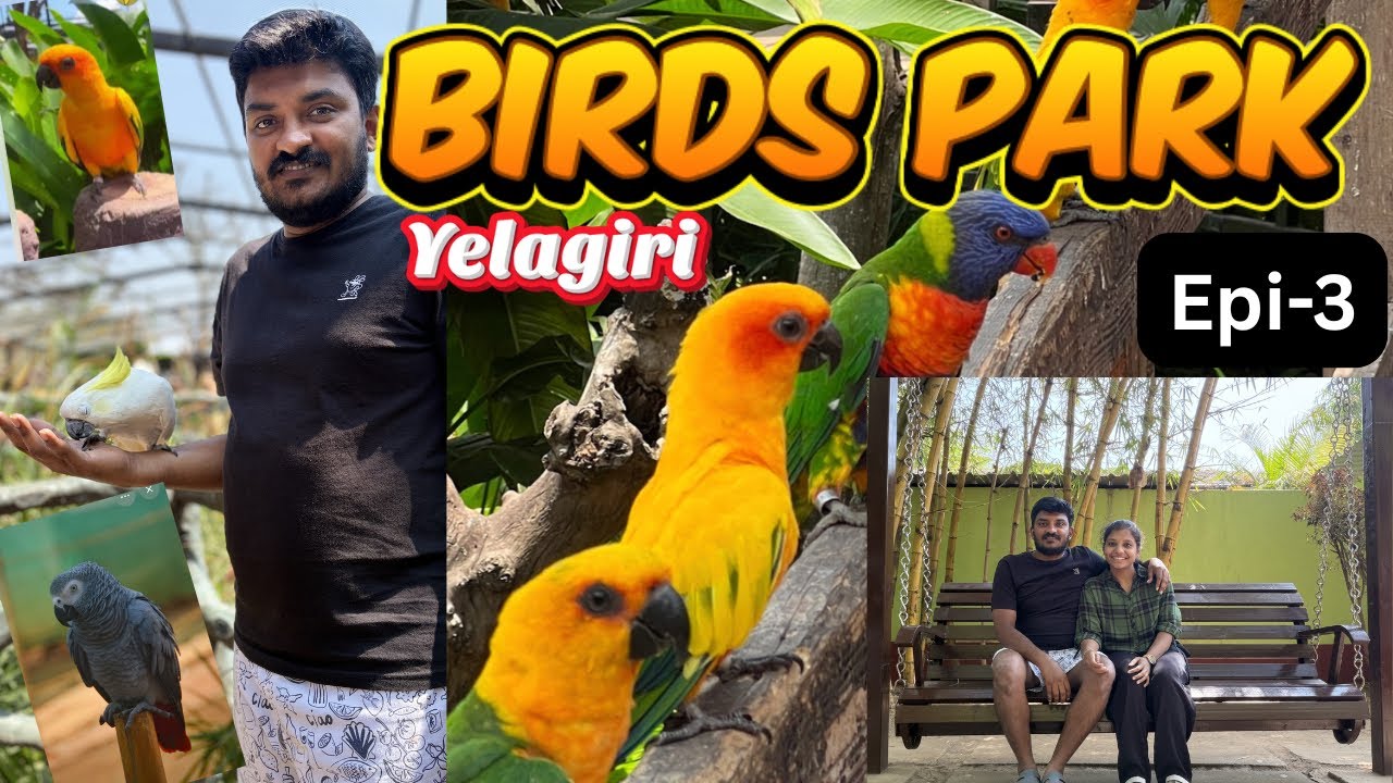 Vlog#13🔥Yelagiri Birds park | ஏலகிரில இந்த place miss பண்ணிடாதீங்க | pet lovers |sandhiyamaravlogs 