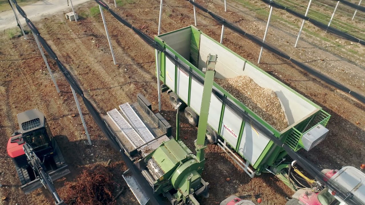 PTH 1200/820 Pezzolato drum wood chipper with special settings working in an orchard