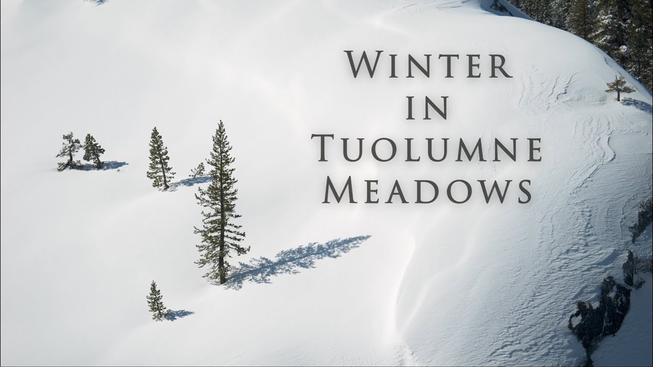 Winter in Tuolumne Meadows - Yosemite Nature Notes: Episode 37
