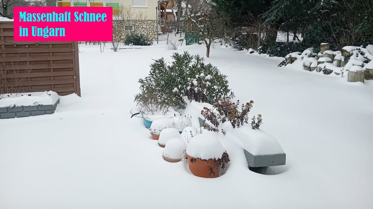Ep 104, Massenhaft Schnee und der muss weg vom Gehweg - tja, ist eben Winter!