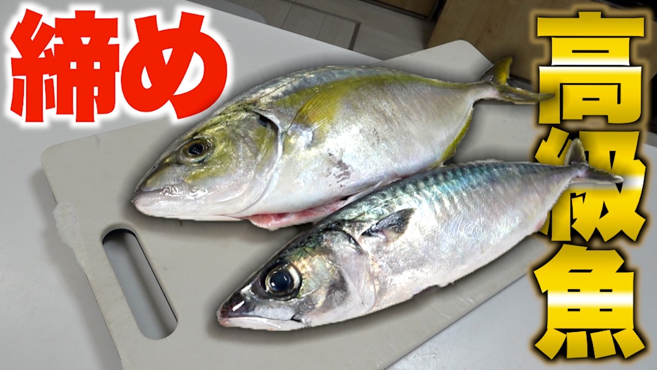 脂の乗った高級魚を〇〇にして見たら・・・！？