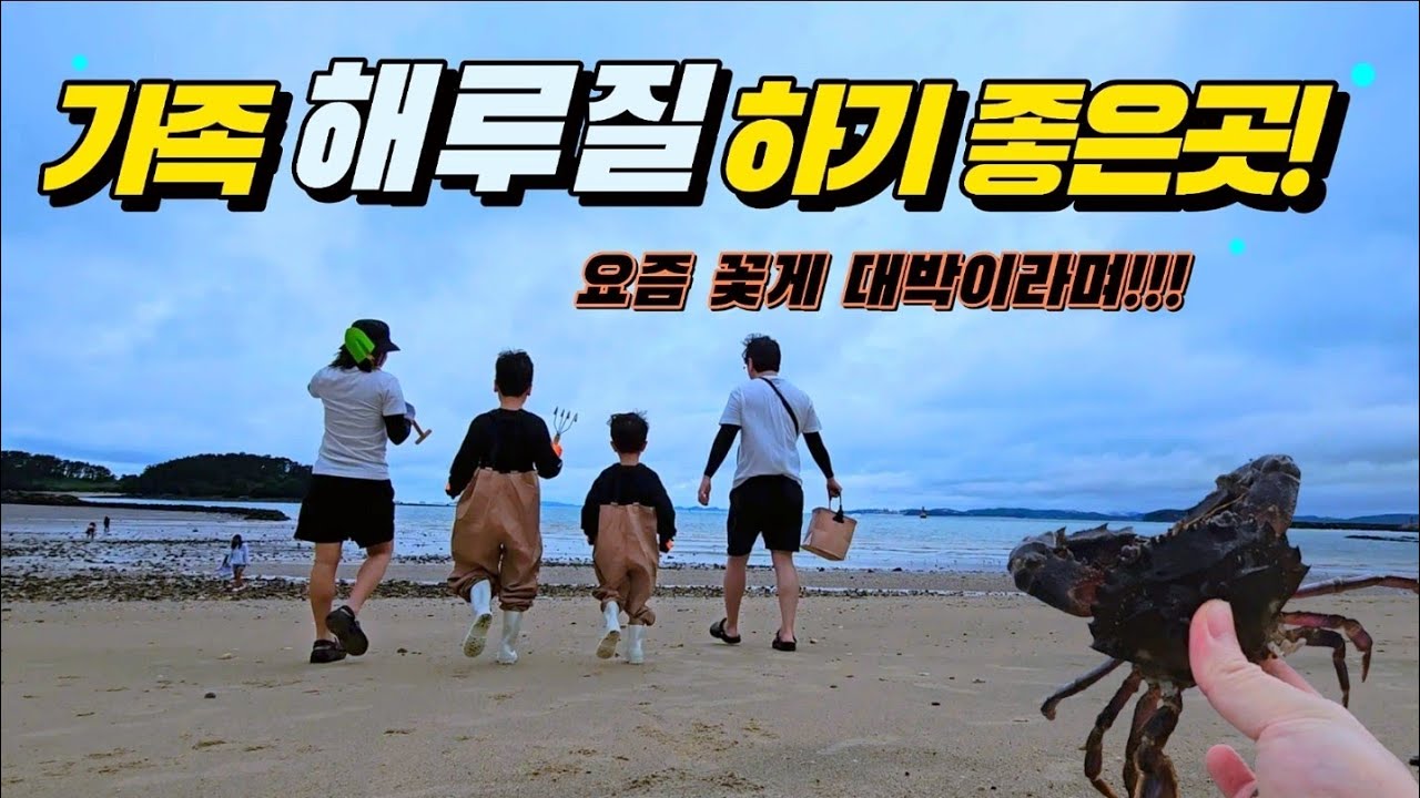 서해가볼만한 곳 무창포해수욕장 해루질✨