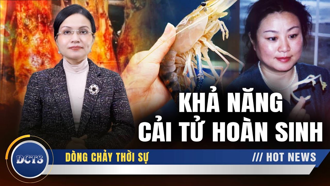 Tôn Trữ Lâm có thể dùng ý nghĩ để điều khiển đồ vật và làm sống lại một quả trứng đã luộc chín?