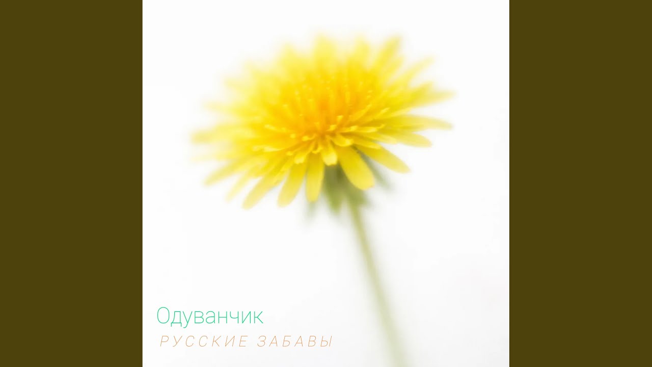 Одуванчик