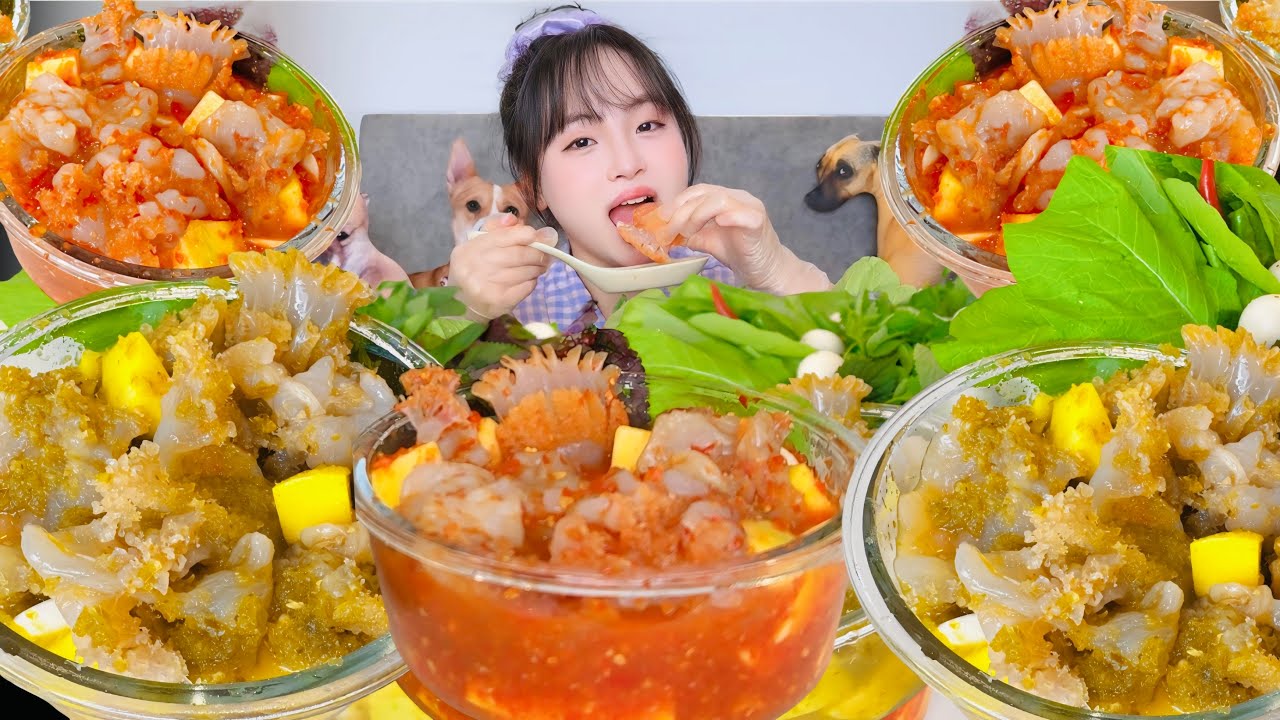 Mukbang Sứa Đạn Và Sứa Chùm Với Nước Mắm Nhĩ & Nước Sốt Thái Xanh Siêu Cay|Jellyfish Bullet