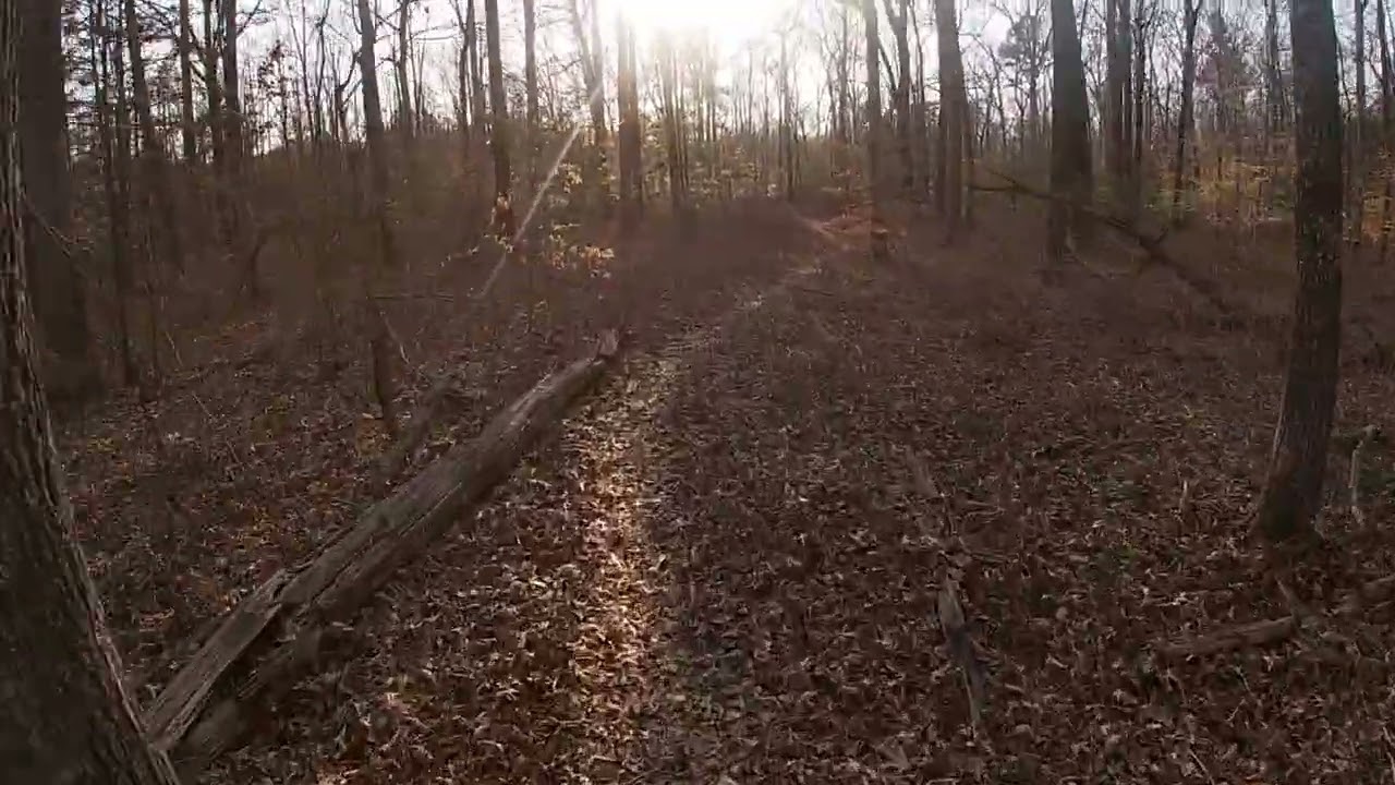 Boundary Forest Trail Poc. Park Leads to Creek