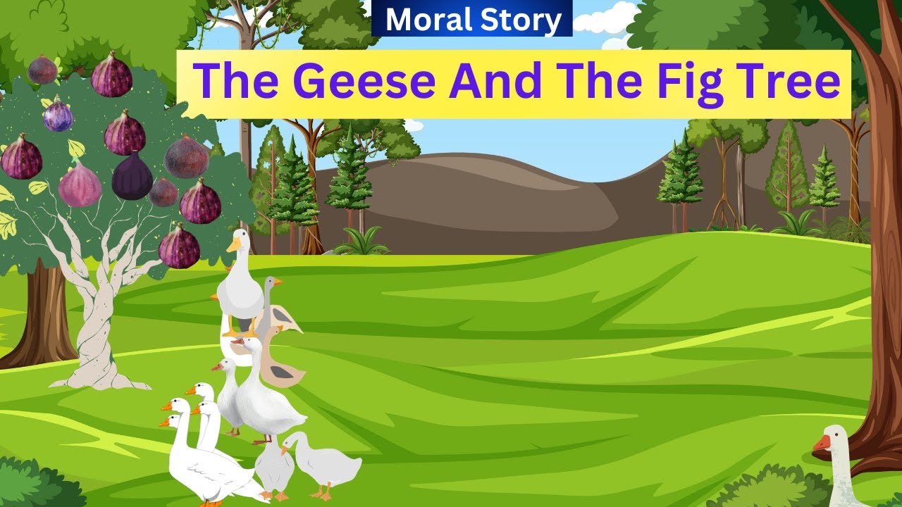 Story : The Geese And The Fig Tree !!