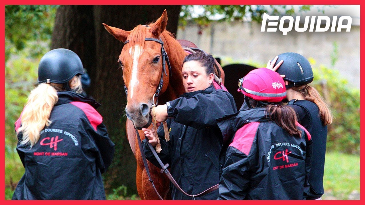SPORT FEMININ - AFASEC, LES FILLES PRENNENT LE POUVOIR !