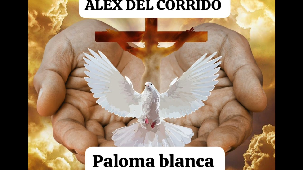18 de febrero de 2026