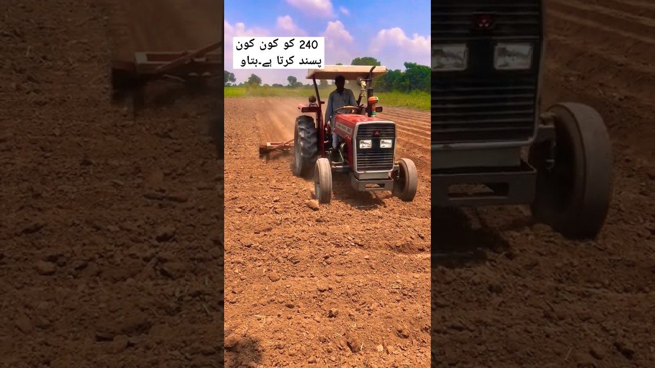 Who people love this Massey Ferguson 240 tractor #shortvideo #shorts #tractorsvlog #tractor #mf240