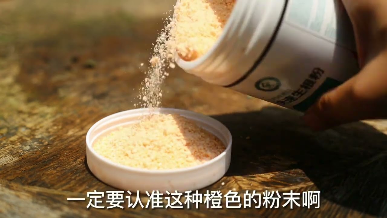 怎么加快植物生根？园艺师教你，用快速生根粉，什么植物都能用