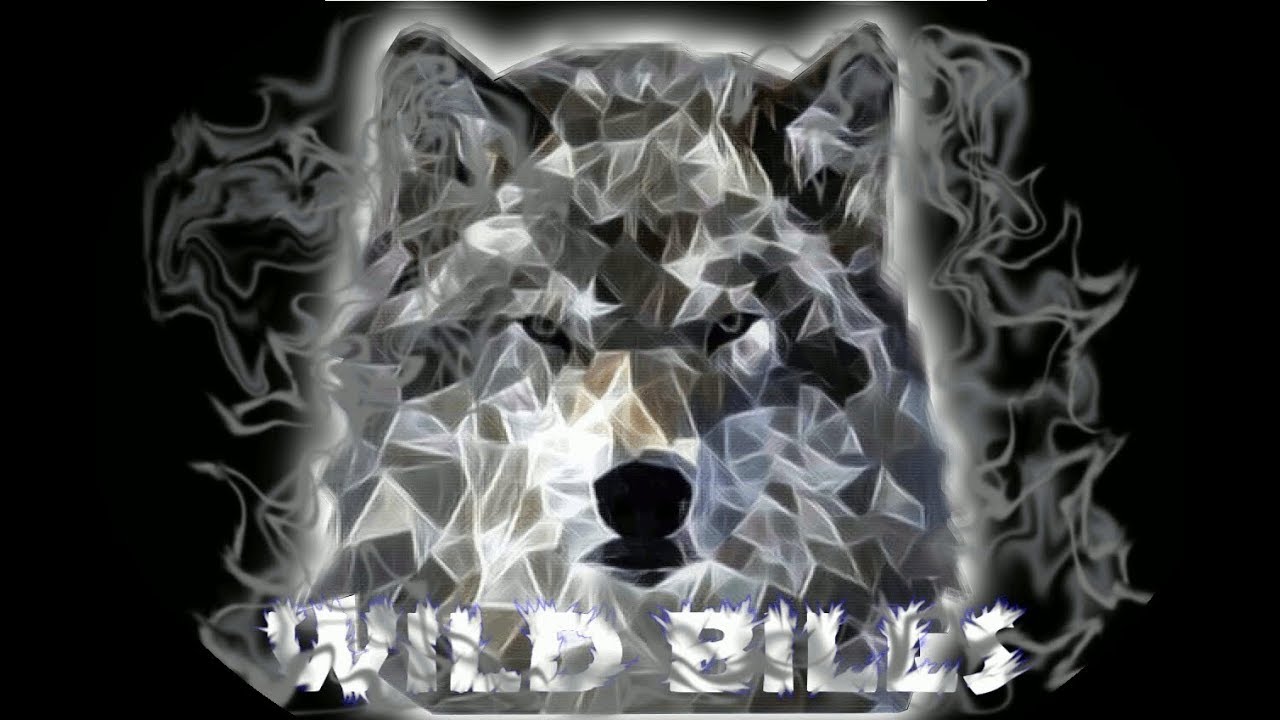 ||SSO|| WILD BILLS (opis!)