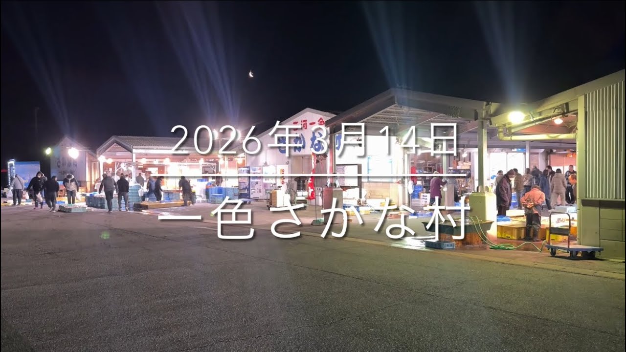【危機迫る】燃料高騰。市場の様子が..【リアルな一日】『一色さかな村』朝4時