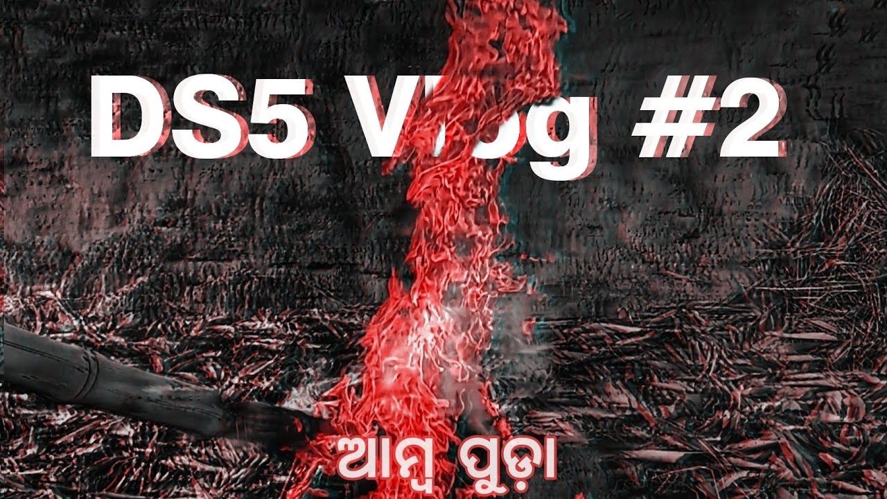 DS5 Vlog - 2 | Aam puda | Digital sambalpuri5