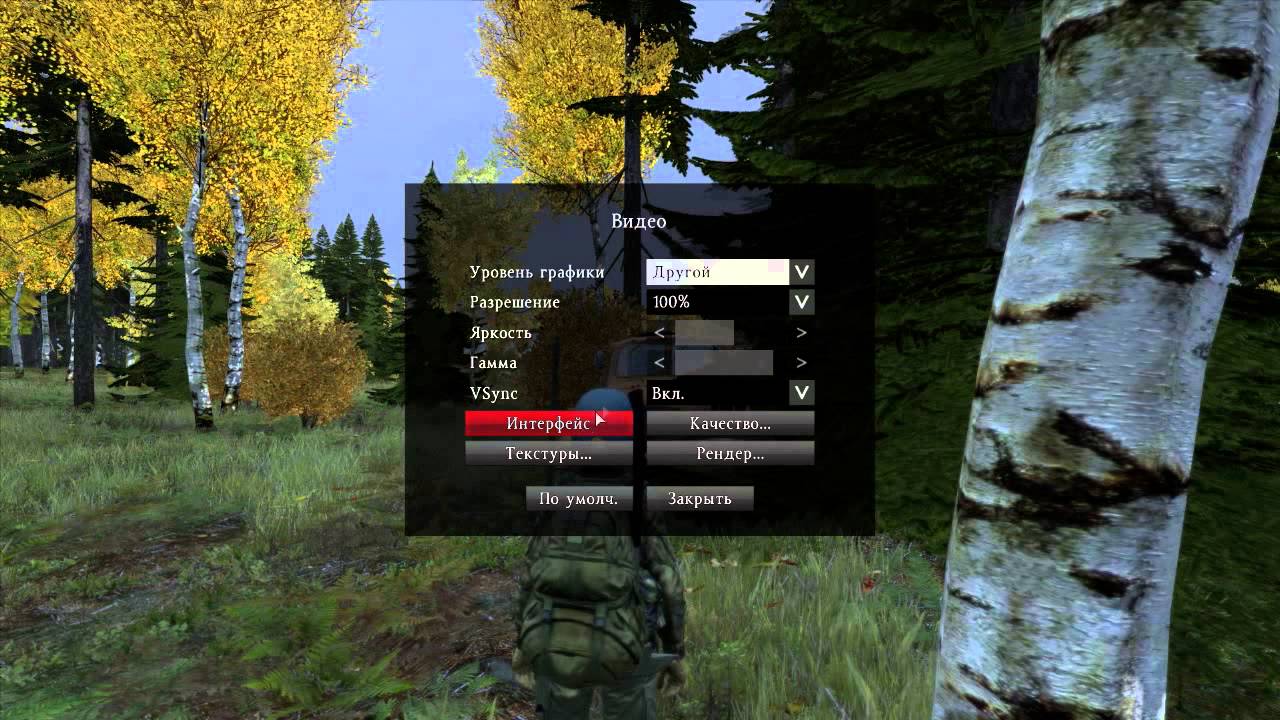 DayZ_SA_(карается лишением прав)