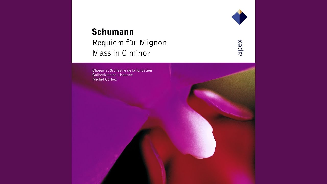 Mass in C Minor, Op. 147: V. Sanctus