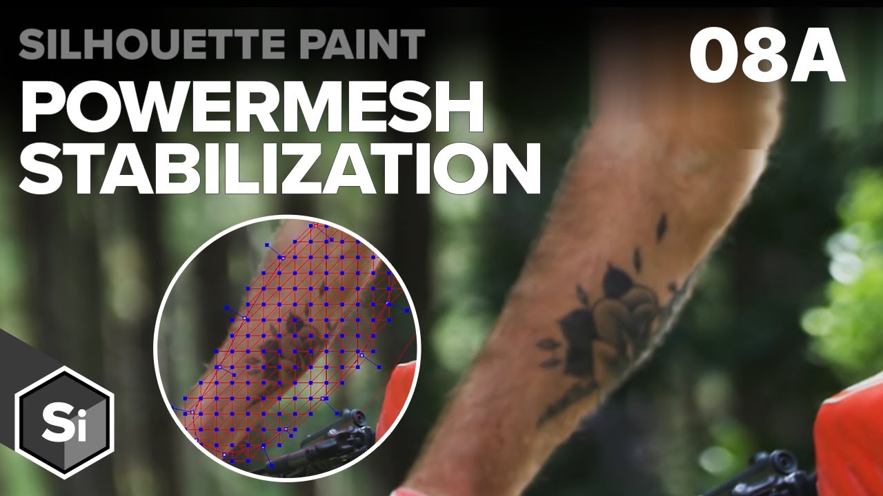 08a Tattoo Removal - Reverse Stabilization with PowerMesh [Silhouette Essentials - Paint]
