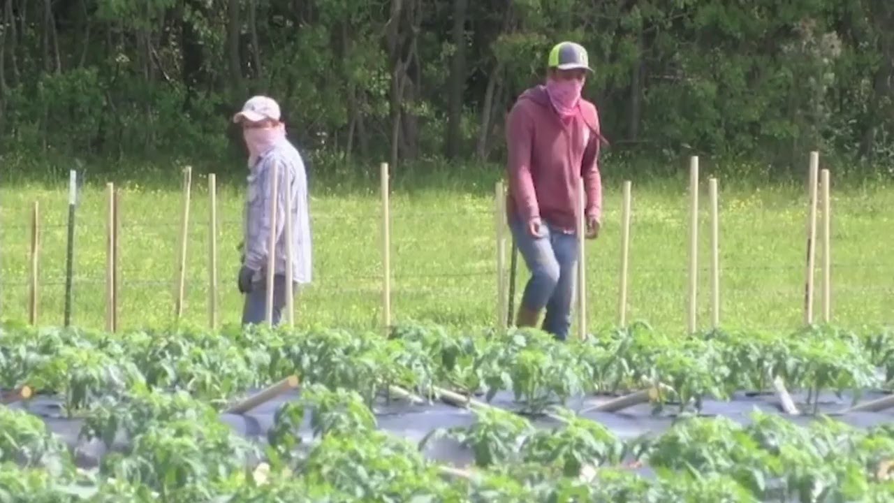 Financial Assistance for Farmers