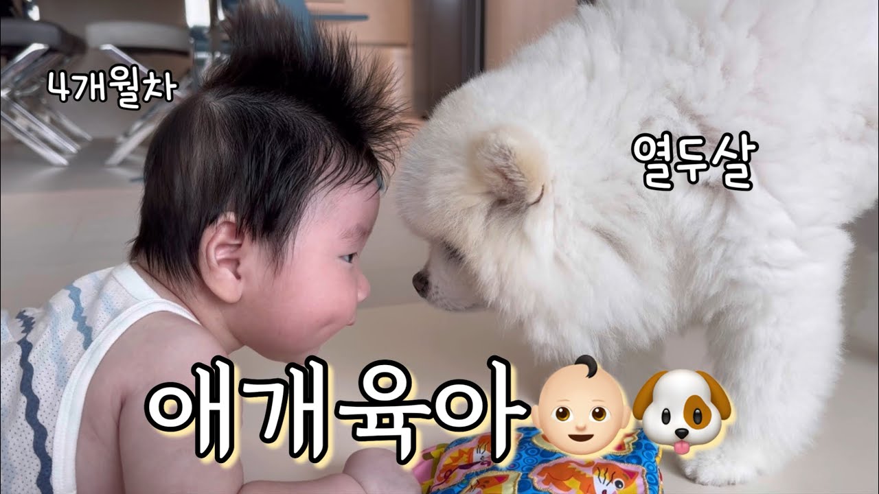 육아 브이로그 | 애개육아, 셀프 백일상, 쁘띠라뺑 하이헨리 슈퍼싱글침대 구입 | 너무 힘들어서 달달구리만 떙기는 현실 육아, 애기랑 책 읽고 터미타임 하면서 노는(?) 일상 