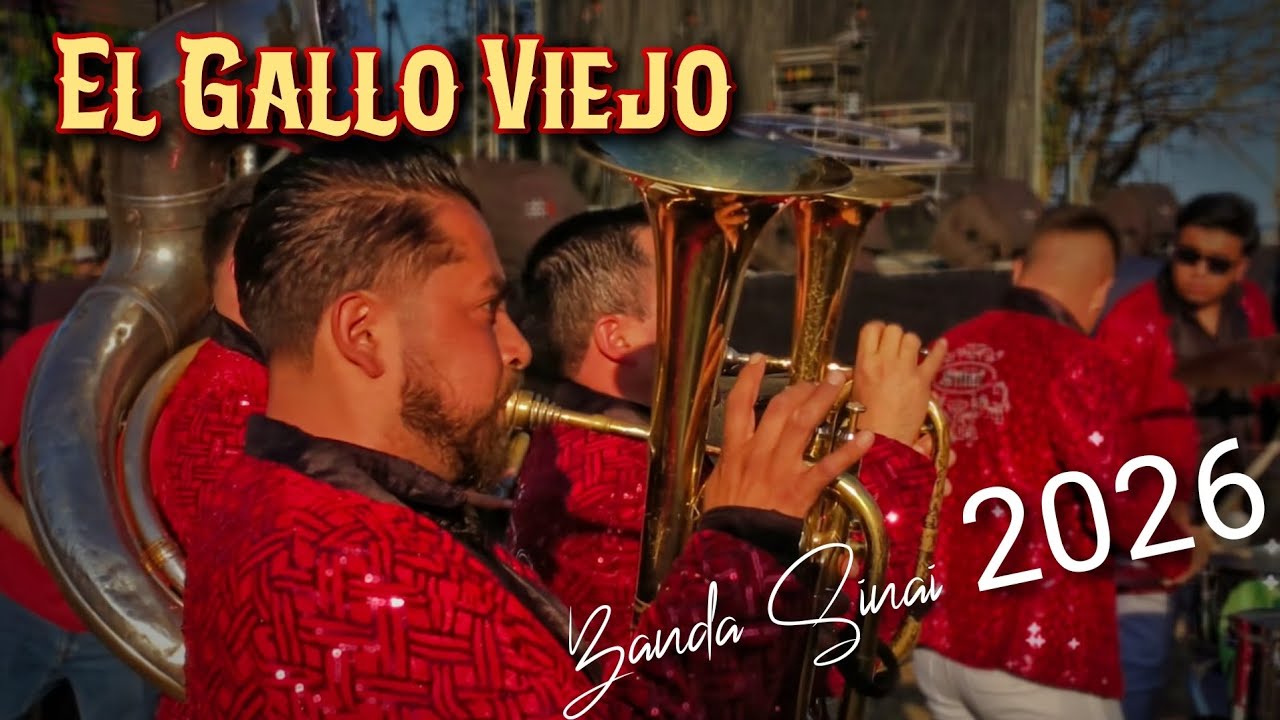 EL GALLO VIEJO Banda Sinai