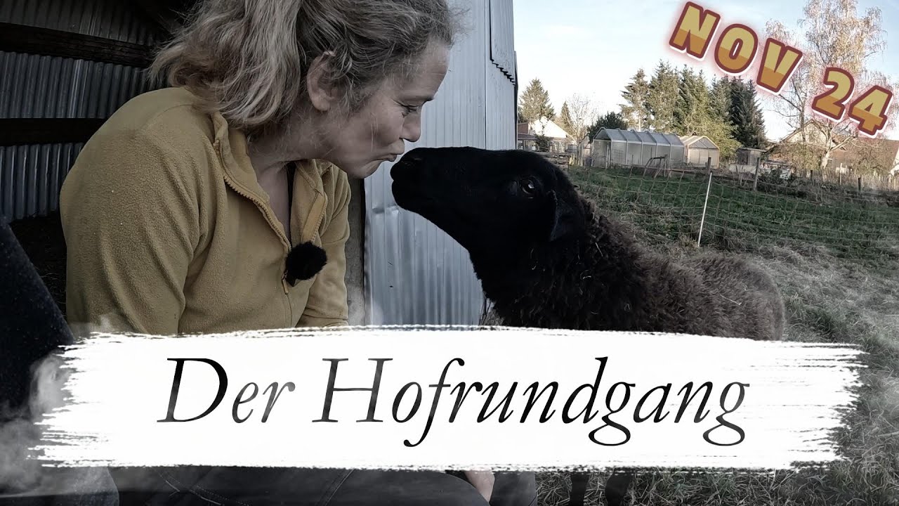 Der Hofrundgang im November