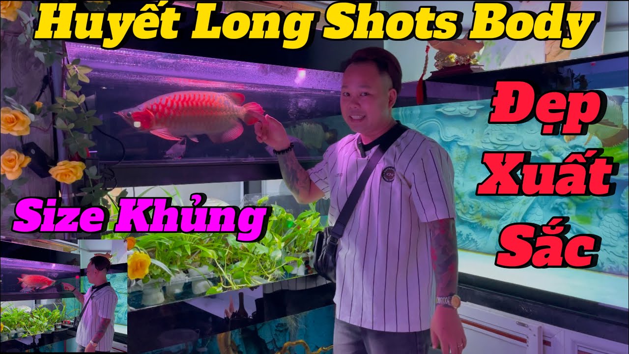 Đỉnh Thật Sự Khi Ngắm 1 em Huyết Long Shots Body Size Khủng | Và May Mắn Khi Sở Hữu Em nó