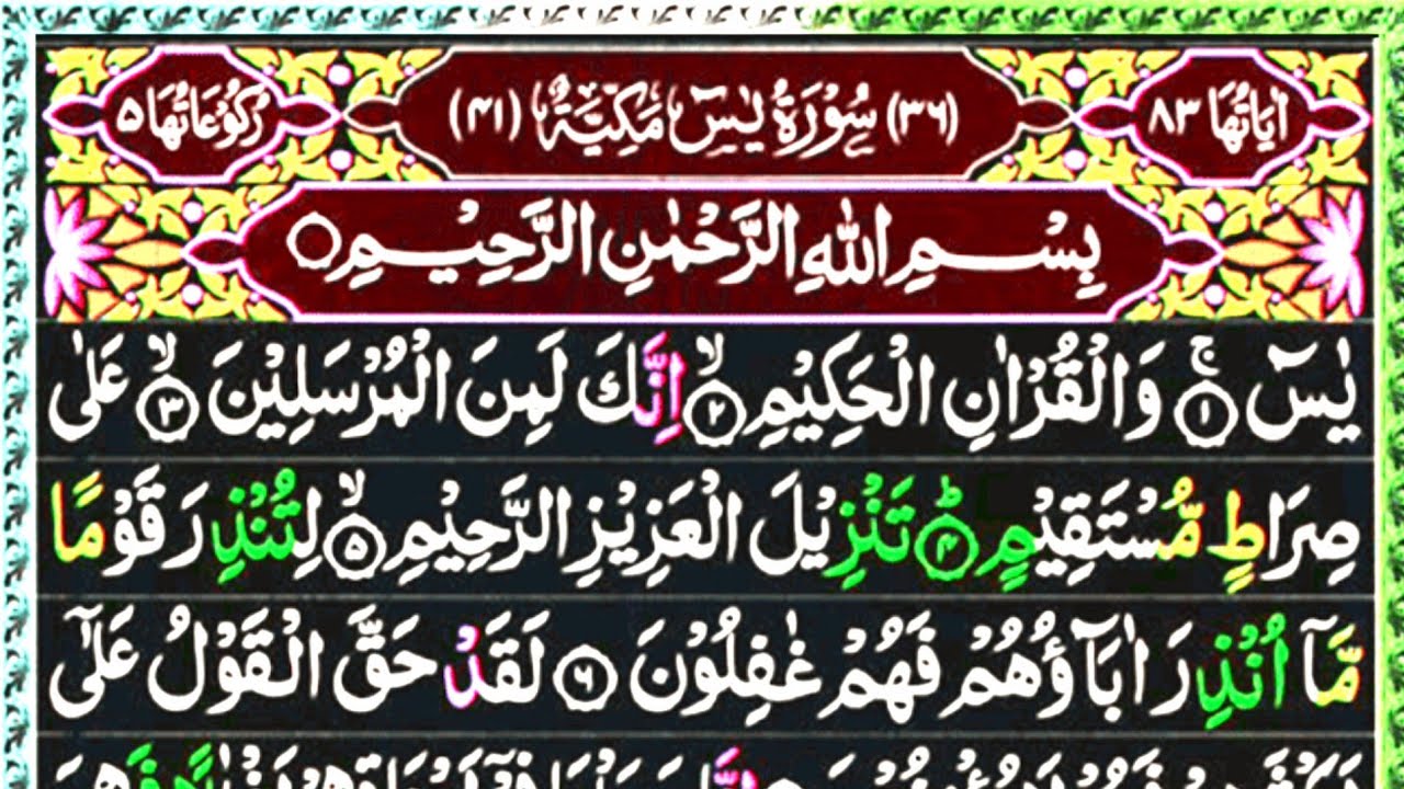Surah Rahman / Surah Yaseen / Surah Mulk / Surah waqiah/ Surah NASR #surahyusuf 