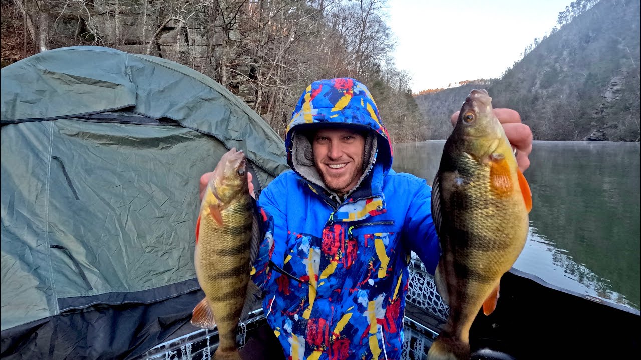 Camping ON my BOAT at a mountain reservoir! FAT perch catch and cook
