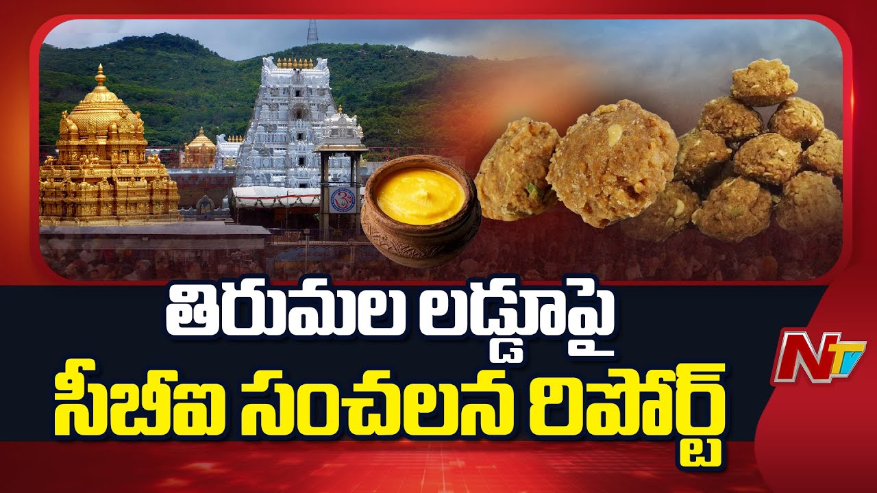 తిరుమల లడ్డూపై సీబీఐ సంచలన రిపోర్ట్ | Tirumala | NTV Telugu