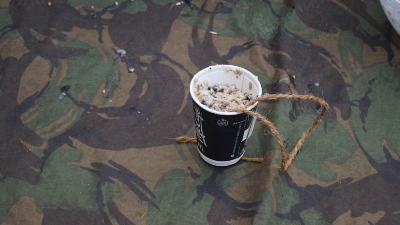 Making A Home Made Bird Feed (Suet /Lard Cake)