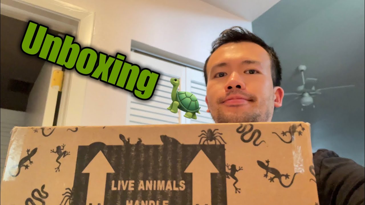 Underground Reptiles Review