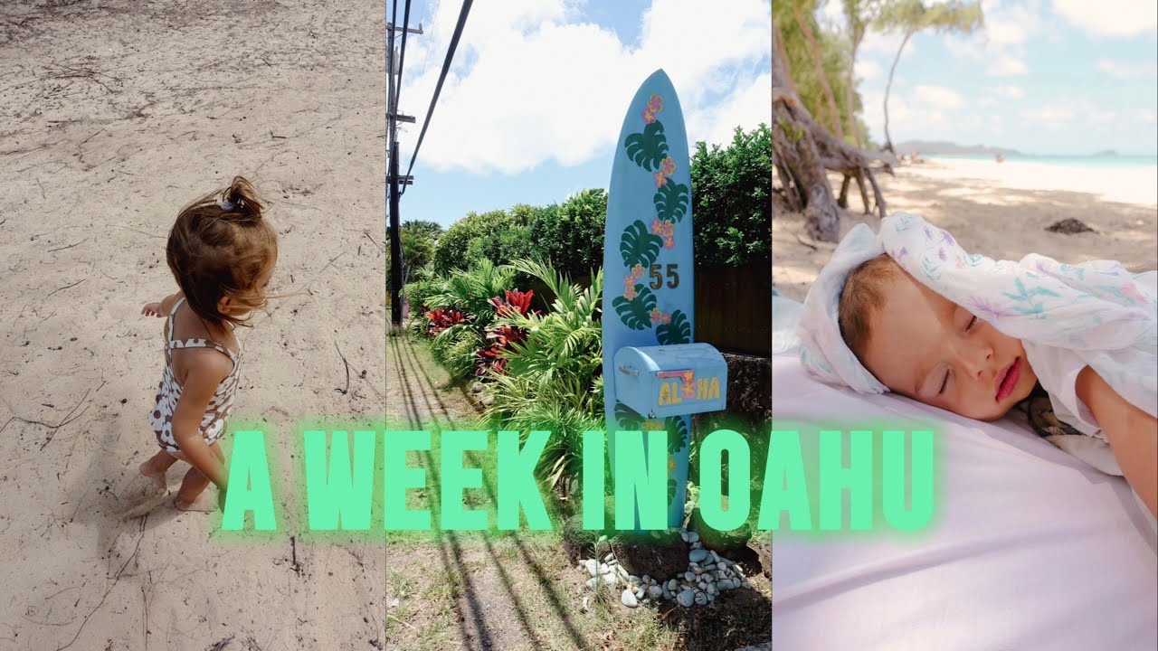VLOG, OAHU, HAWAI