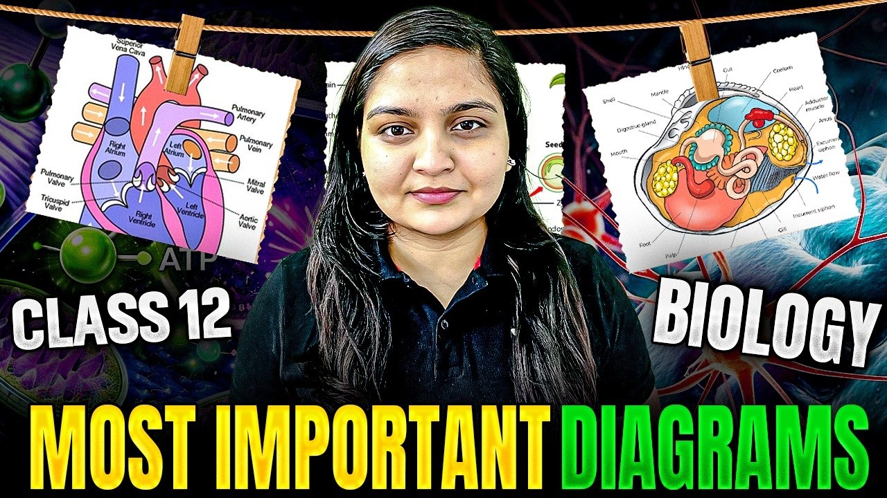 Class 12 Biology | Most Important Diagrams 🔥 | Must-Do Diagrams for Boards 2026 | Nikita Ma'am