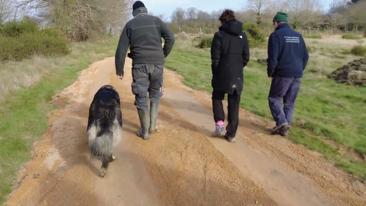 Caucase agressive humain 💥