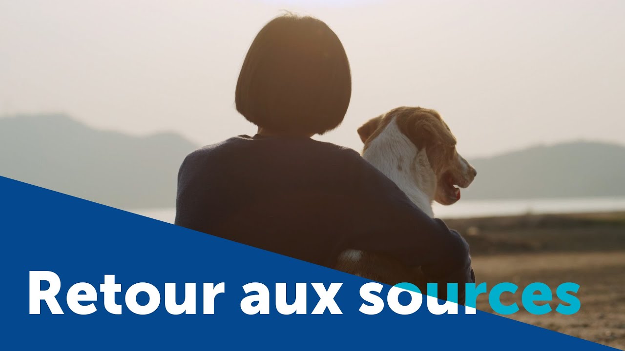 Retour aux sources de la relation Homme-chien [FILM COMPLET]