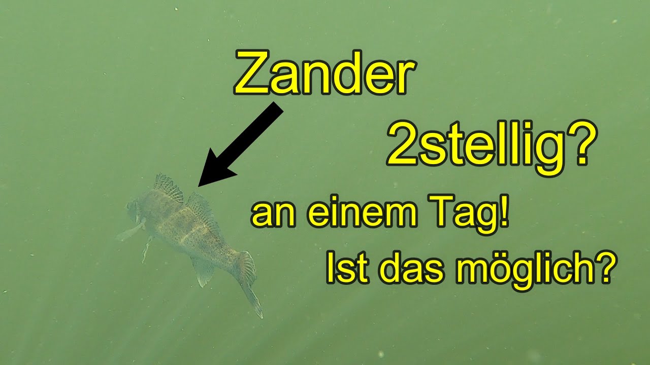 Jiggen auf Zander und Barsch an einem gro&szlig;en See! 2 stellig fangen an einem Tag ? Ist das m&ouml;glich ?