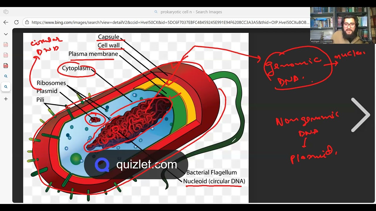 Cell : The unit of life lec no. 03...NCERT Biology Line by Line for NEET Concept Mastery!