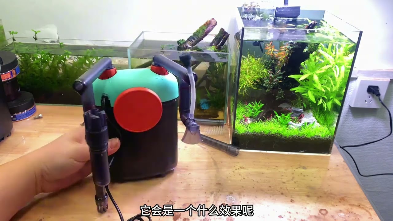 特別適合新手的魚缸過濾器  水草缸 裸缸都能用  效果相當不錯啊😏#造景魚缸 #水草缸 #水草造景
