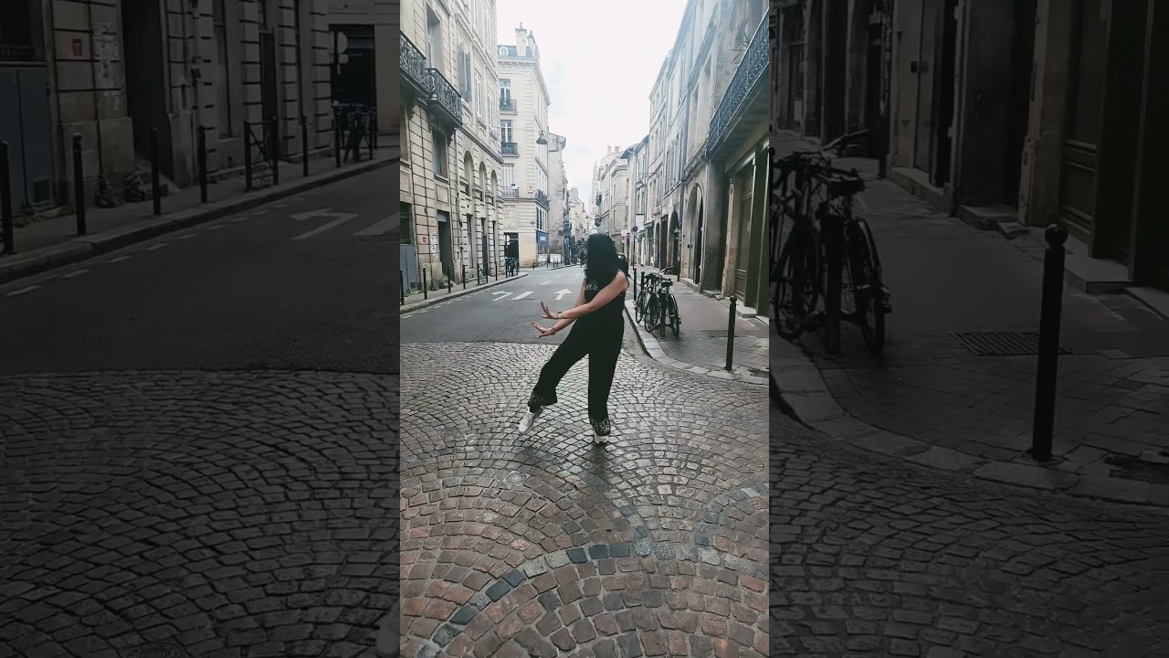 Shaky in the cobblestone streets of Bordeaux #marathi #winelovers #shaky #france  #visitbordeaux