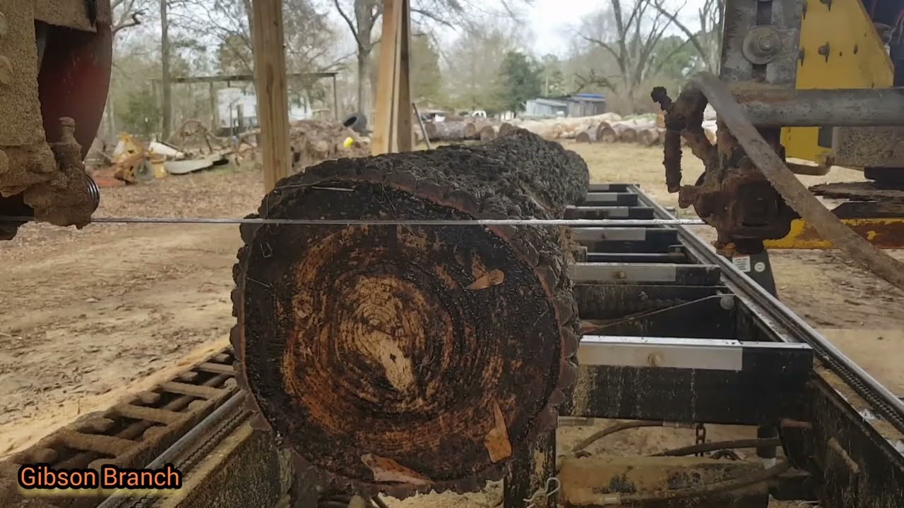 Sawmilling | Unique Persimmon Slabs